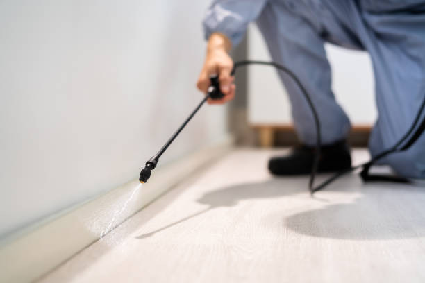 Licensed Wasp Removal service in Kodiak Station, AK - Show Me Pest Control