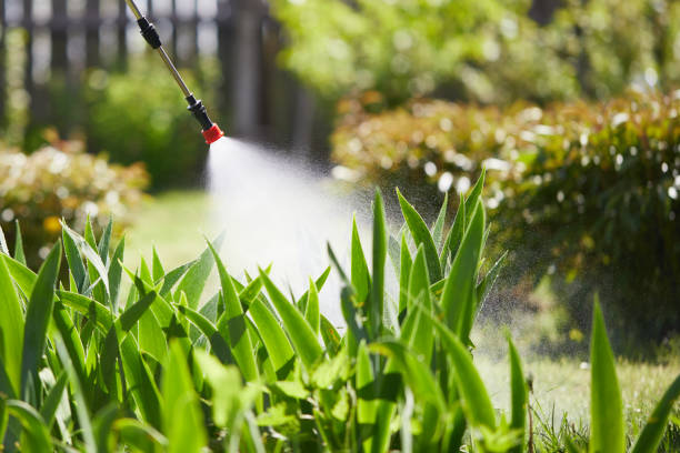 24/7 Emergency Wasp Removal experts in Kodiak Station, AK