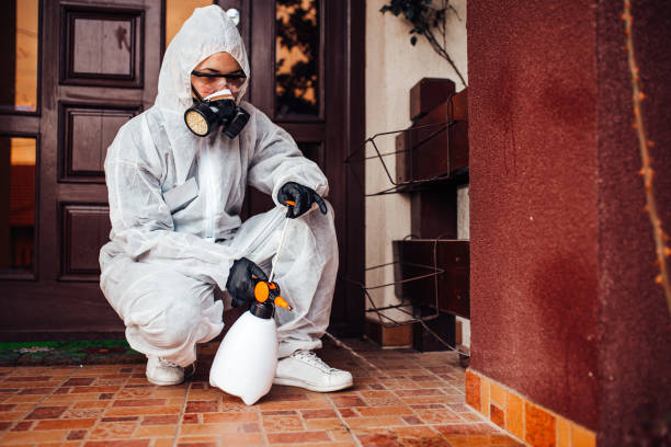 Reliable Wasp Removal contractor in Kodiak Station, AK by Show Me Pest Control