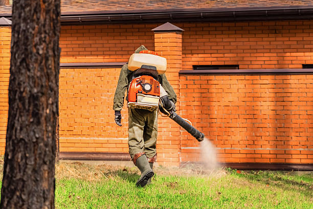 Top rated local Wasp Removal specialists in Kodiak Station, AK